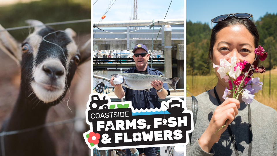 Farms, Fish & Flowers - Visit Half Moon Bay